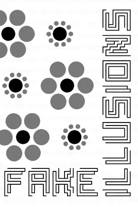 Fake Illusions poster