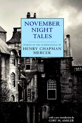 November Night Tales poster