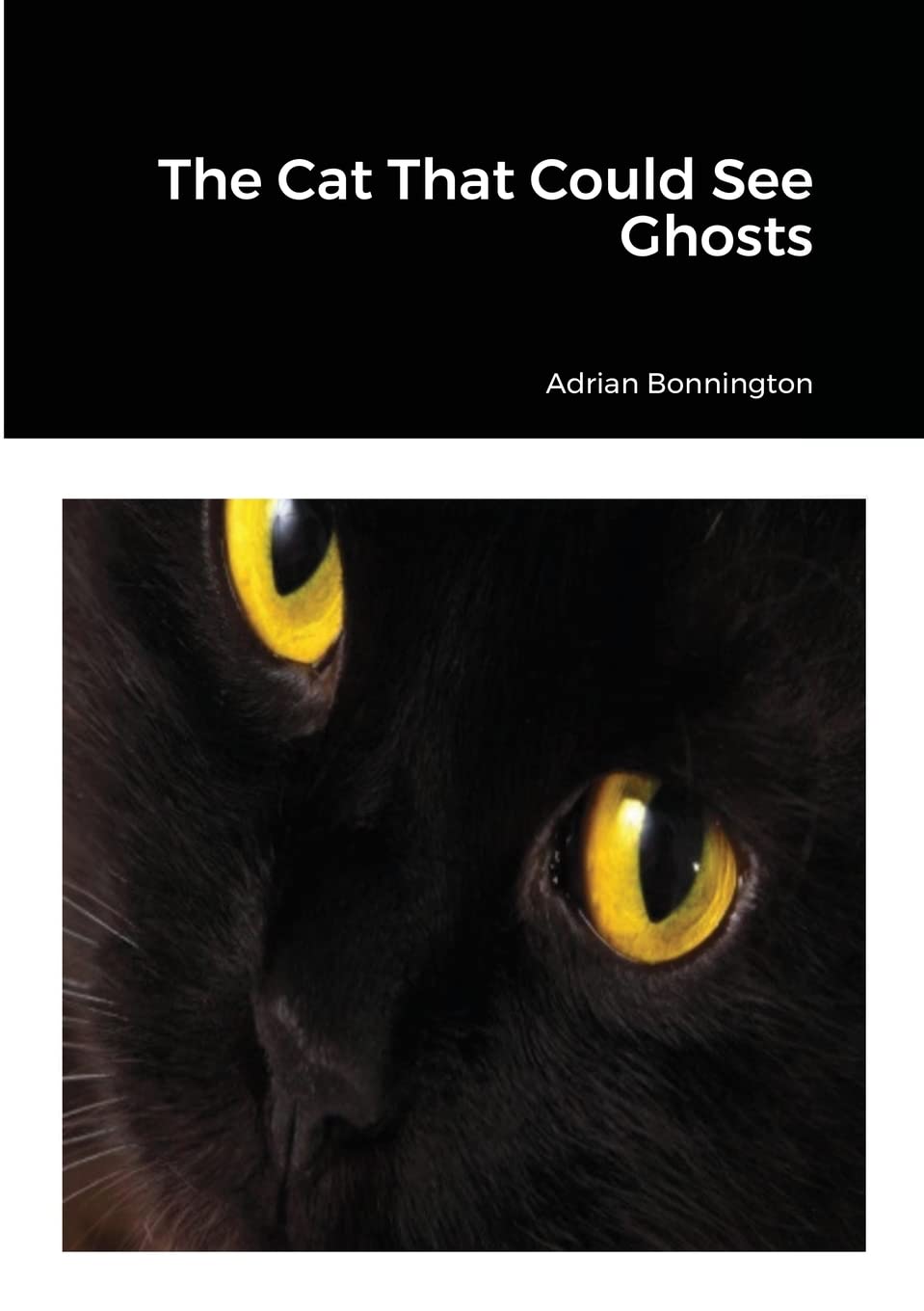 The Cat That Could See Ghosts poster