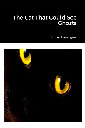 The Cat That Could See Ghosts poster