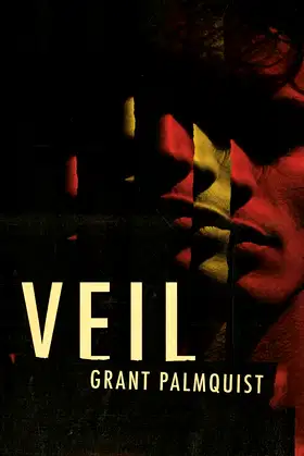 Veil poster