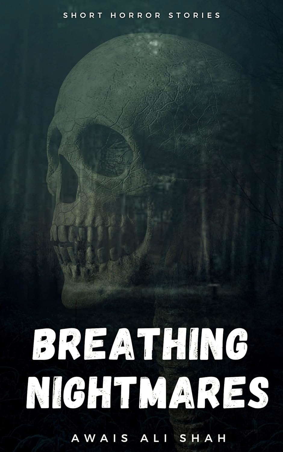 Breathing Nightmares poster