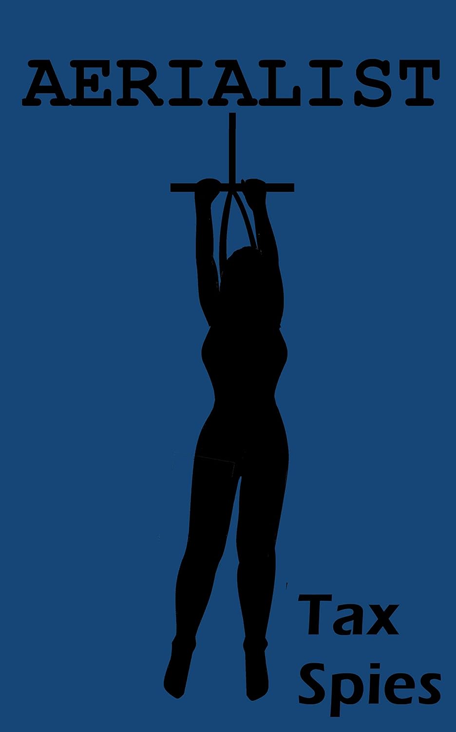 Aerialist poster