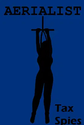 Aerialist poster