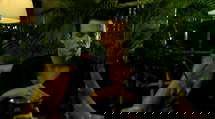episode poster
