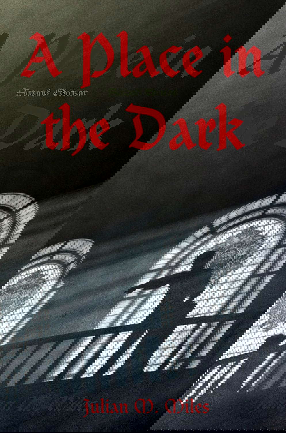 A Place in the Dark: Second Edition poster