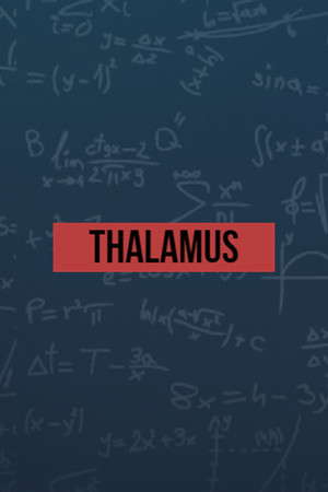 Thalamus poster