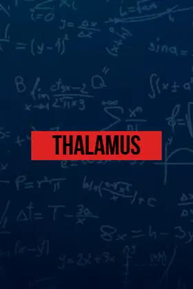 Thalamus poster