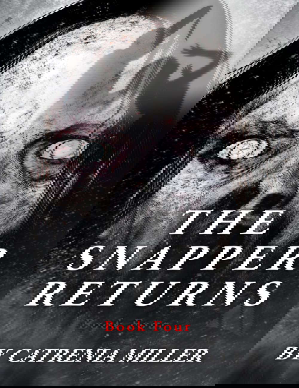 The Snapper's Return poster