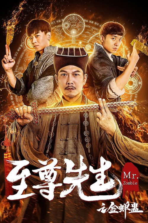Mr. Zombie 3 poster