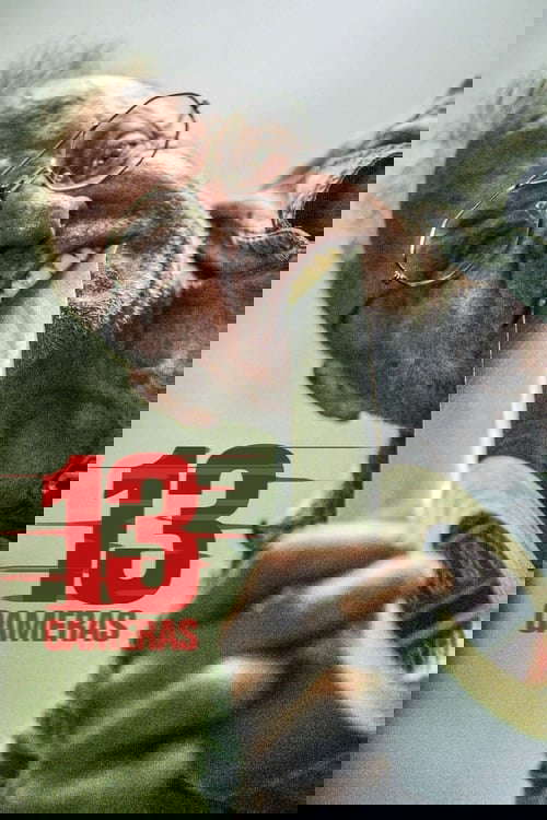 13 Cameras poster
