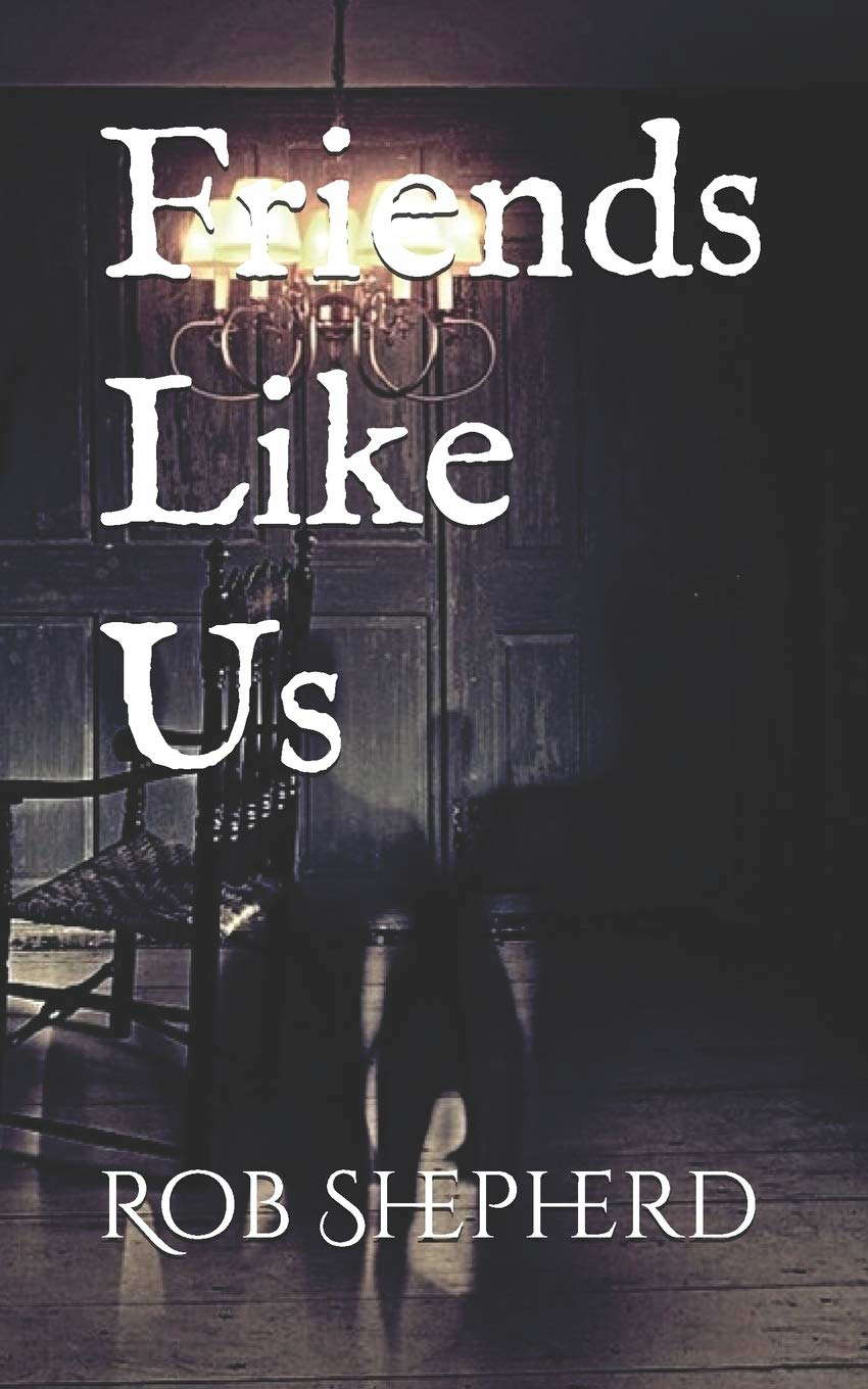 Friends Like Us poster