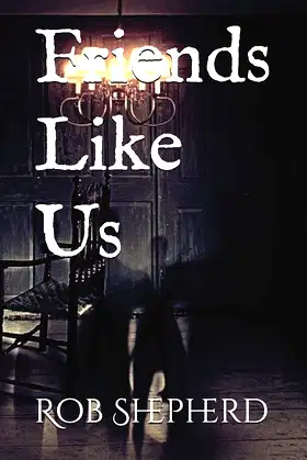 Friends Like Us poster