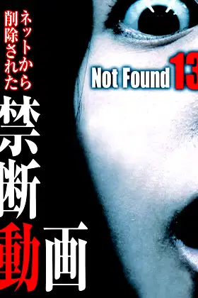 Not Found 13 poster