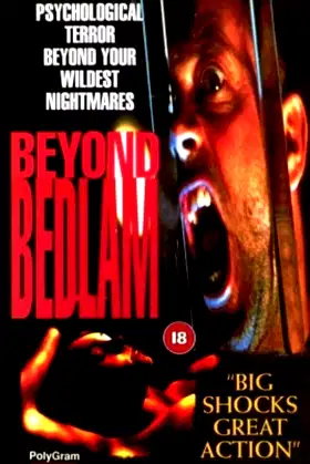 Beyond Bedlam poster