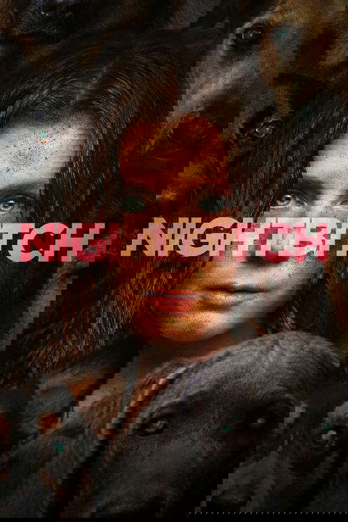 Nightbitch poster