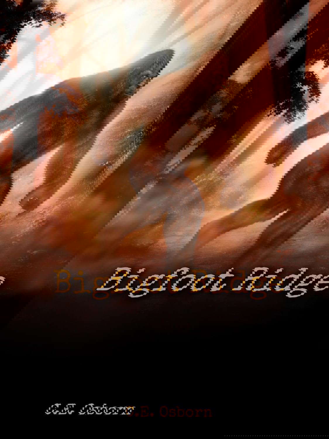 Bigfoot Ridge poster