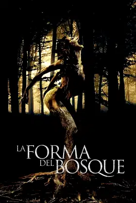 The Shape of the Woods poster