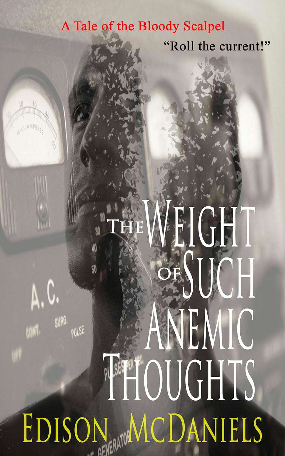 The Weight of Such Anemic Thoughts (Tales of the Bloody Scalpel Book 12) poster