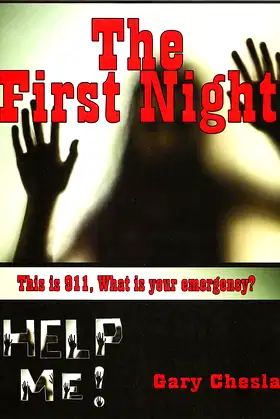 The First Night poster