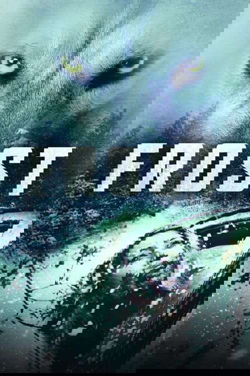 Frost poster