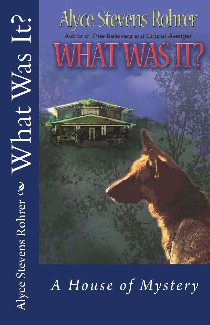 What Was It? poster