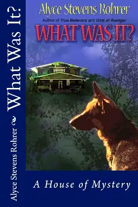 What Was It? poster