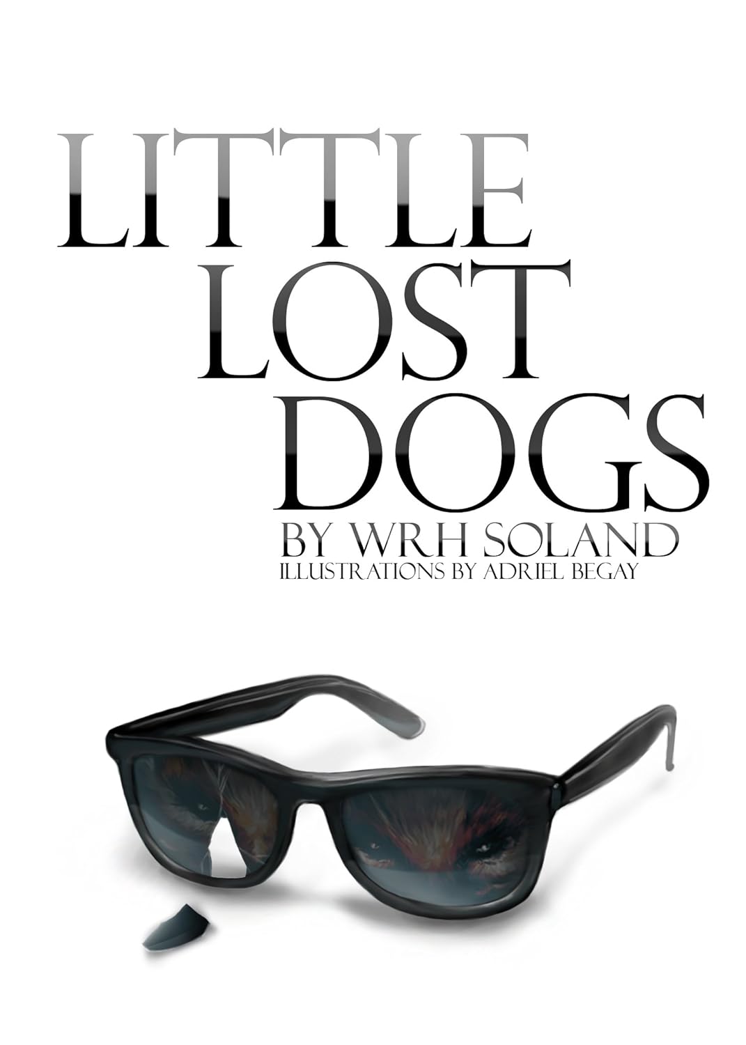 Little Lost Dogs poster