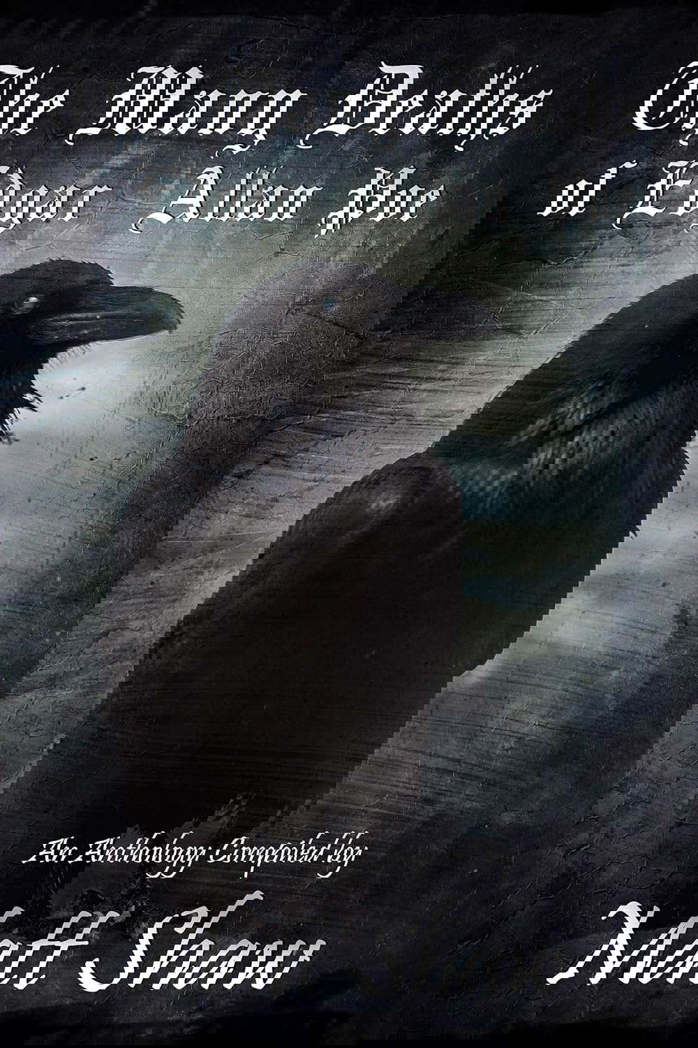 The Many Deaths Of Edgar Allan Poe poster