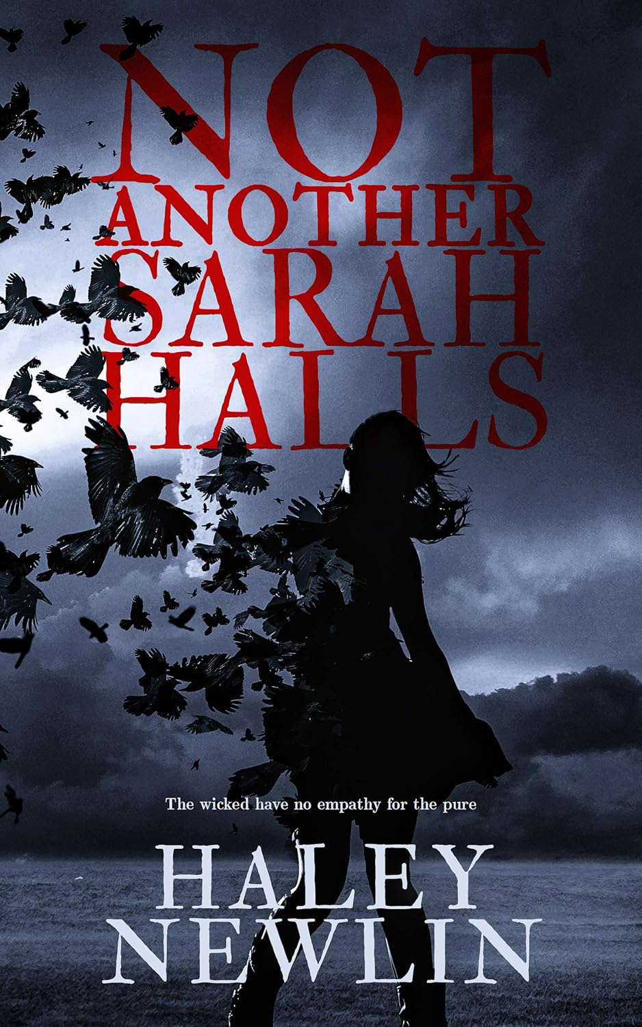 Not Another Sarah Halls poster