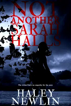 Not Another Sarah Halls poster