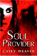 Soul Provider poster