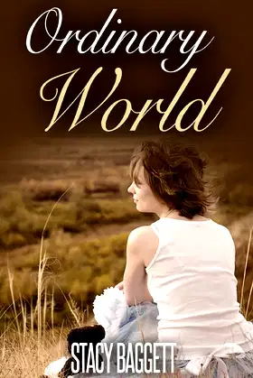 Ordinary World poster
