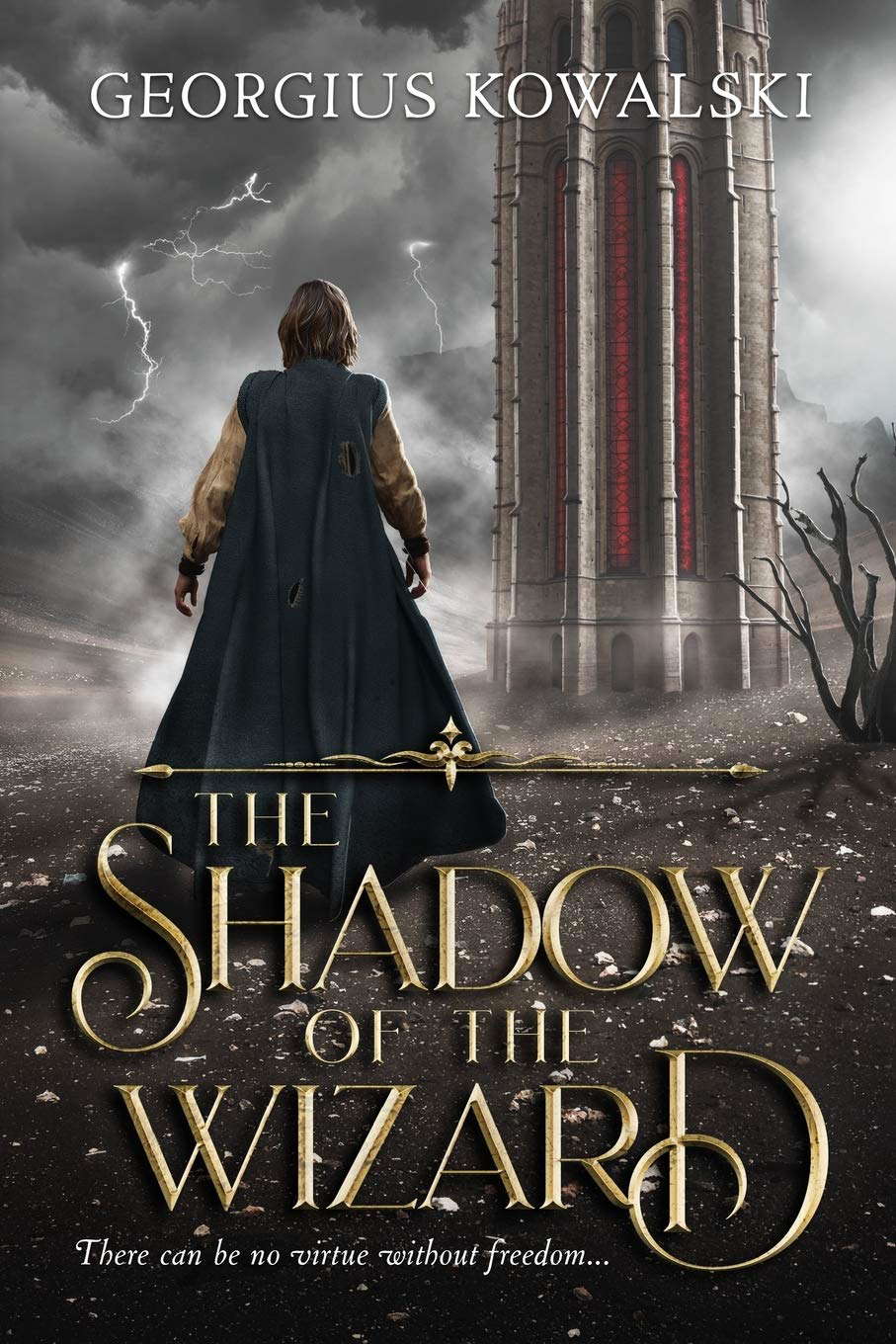 The Shadow of The Wizard poster