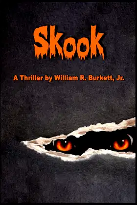 Skook poster