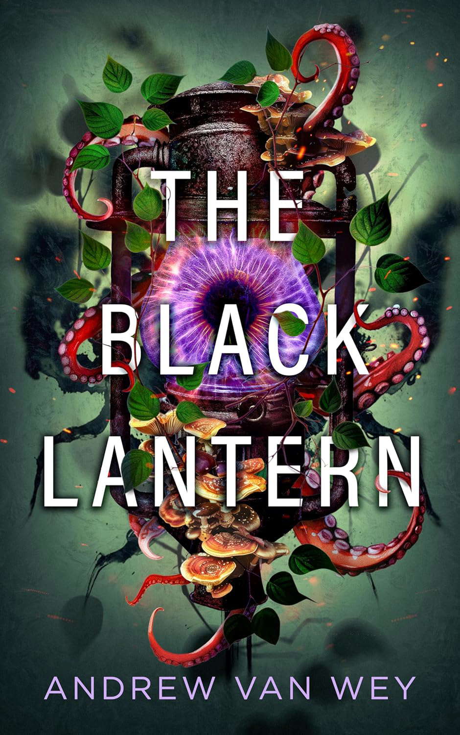 The Black Lantern (Beyond the Lost Coast Book 3) poster
