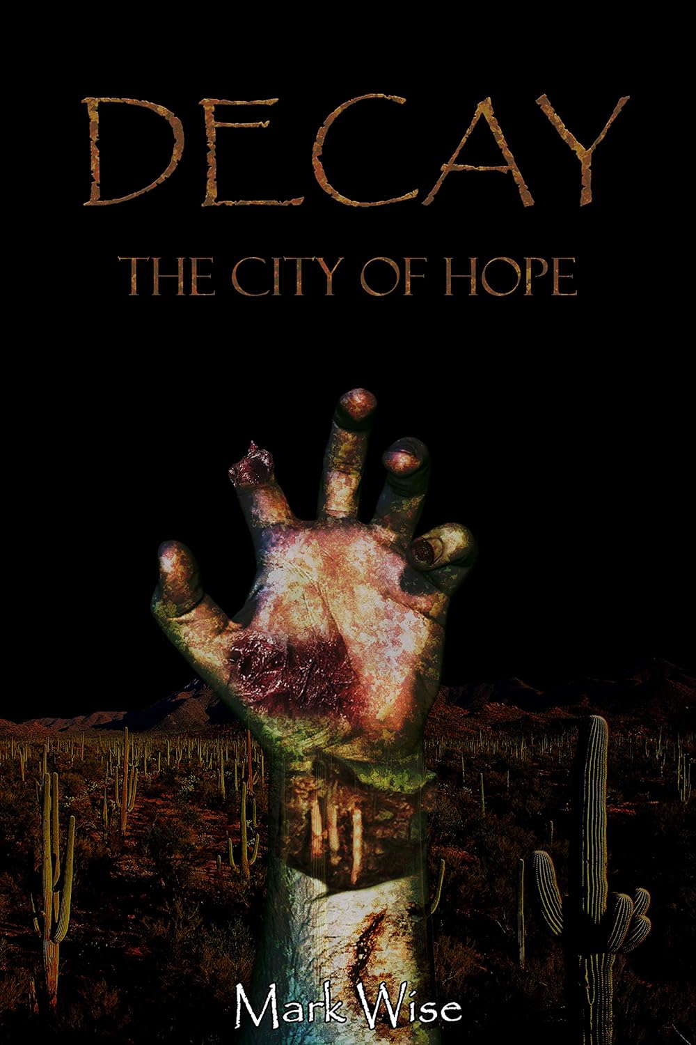 Decay: The City of Hope poster