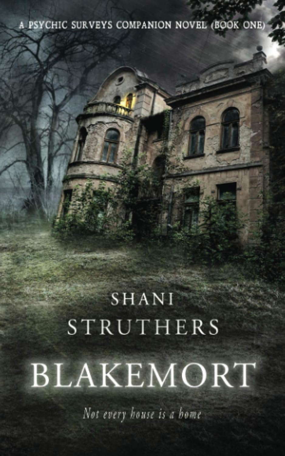 Blakemort: A Psychic Surveys Companion Novella poster