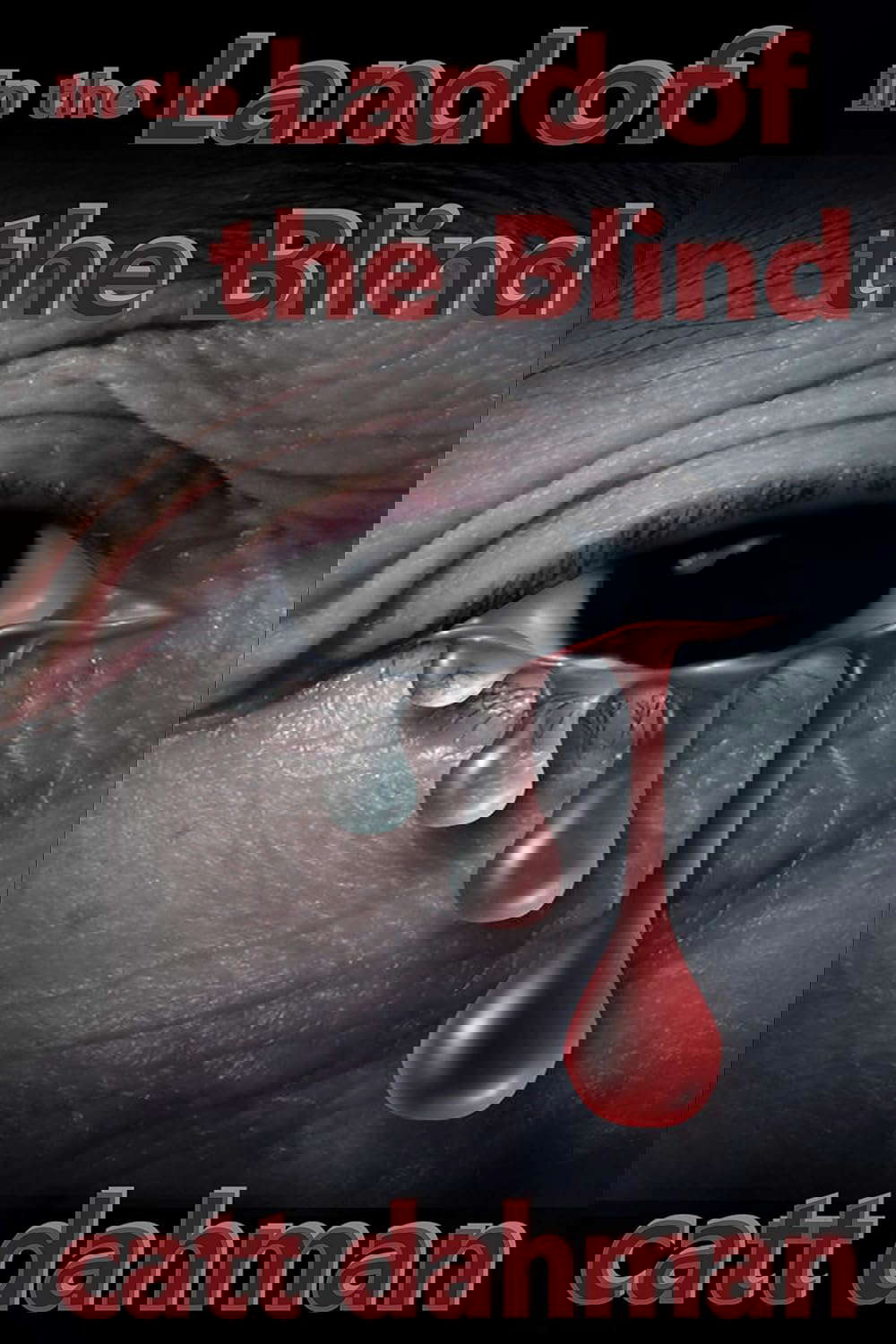 In the Land of the Blind poster