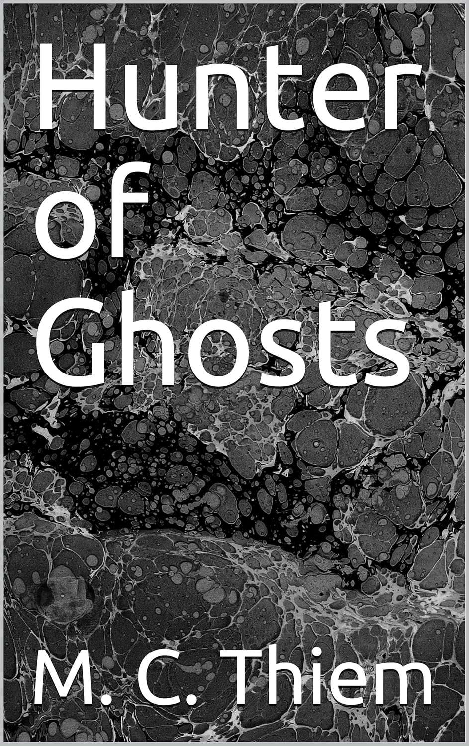 Hunter of Ghosts poster