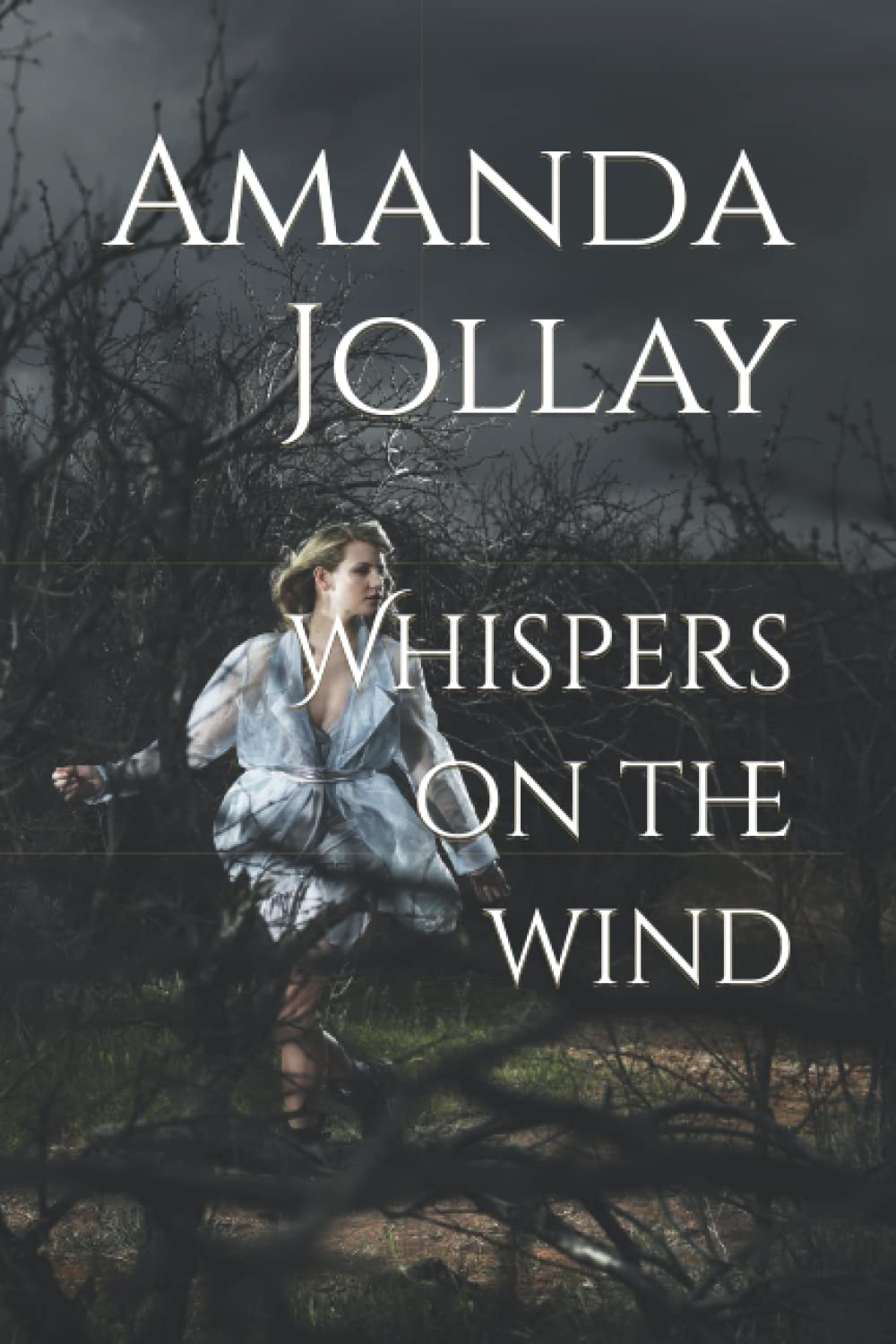 Whispers on the wind poster