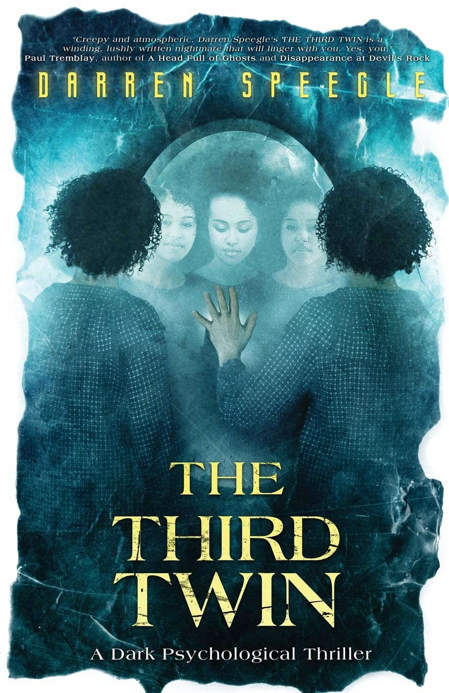 The Third Twin: A Dark Psychological Thriller poster