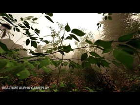 The Forest - Official Trailer poster