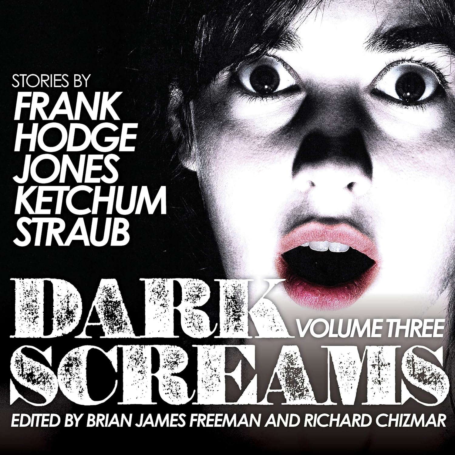 Dark Screams: Volume Three poster