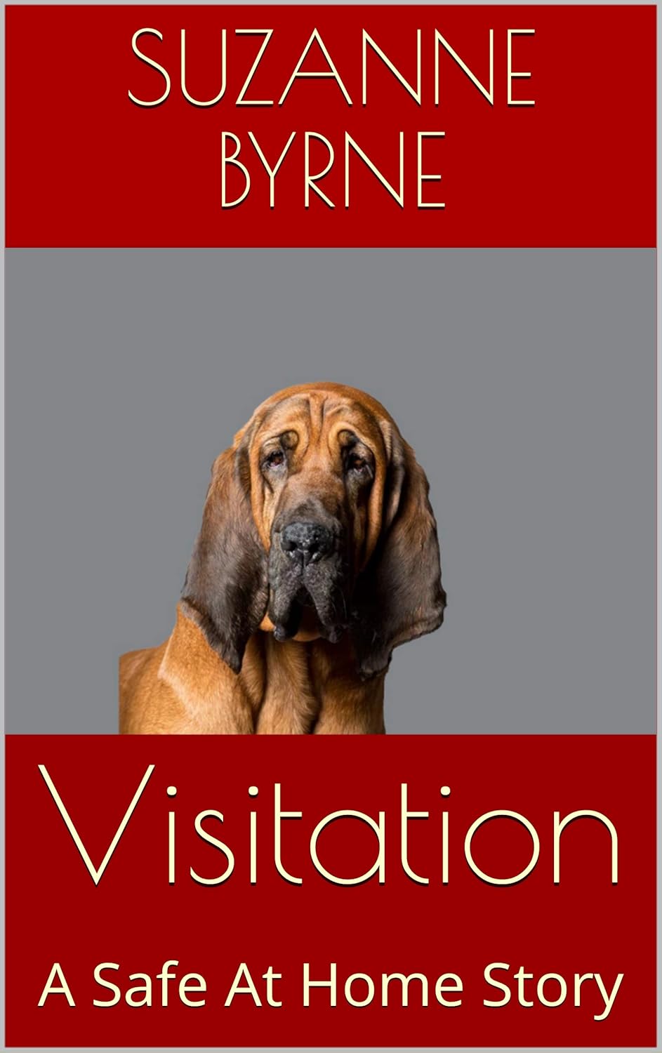 Visitation: A Safe At Home Story poster