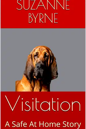 Visitation: A Safe At Home Story poster