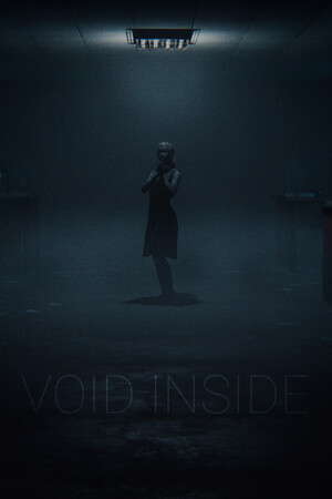 Void Inside poster