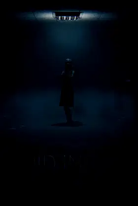 Void Inside poster