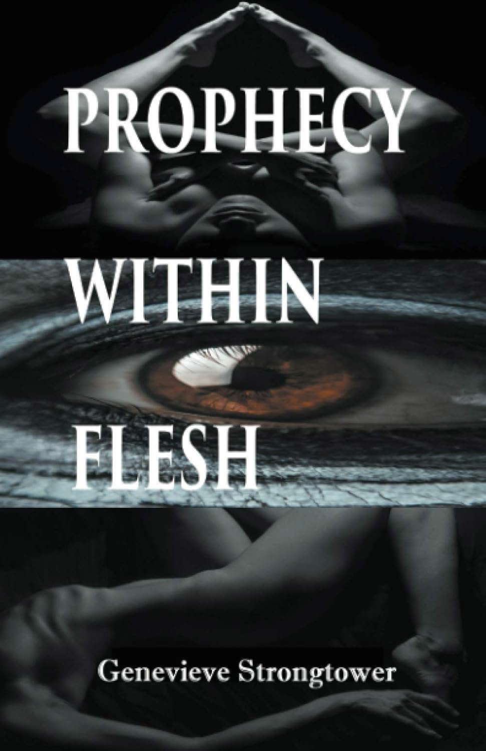 Prophecy Within Flesh poster