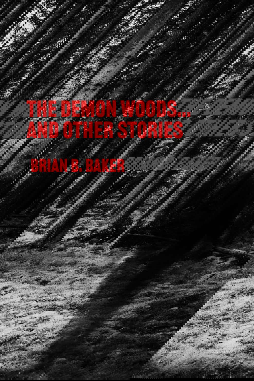 Into The Demon Woods: A Collection of Horror Stories poster